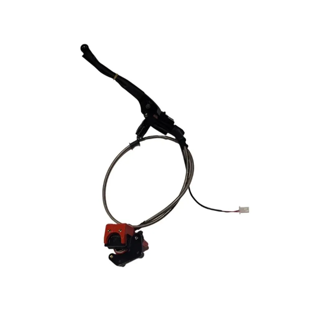 Front Disc Brake Assembly